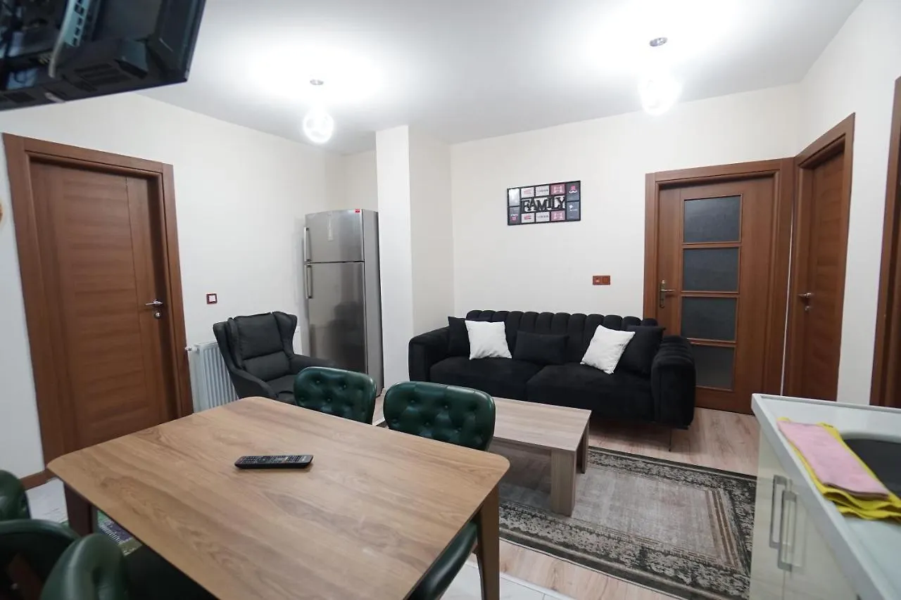3+1 House With Garden In The New Building Apartment Istanbul Turkey