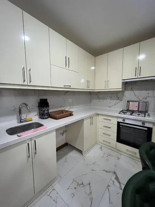 Apartmán 3+1 House With Garden In The New Building Istanbulská provincie Turecko