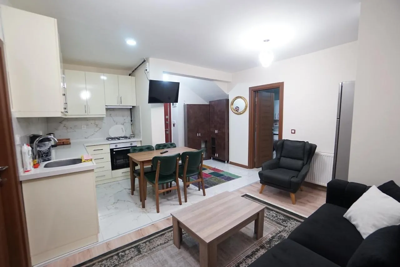 Apartmán 3+1 House With Garden In The New Building Istanbulská provincie Turecko
